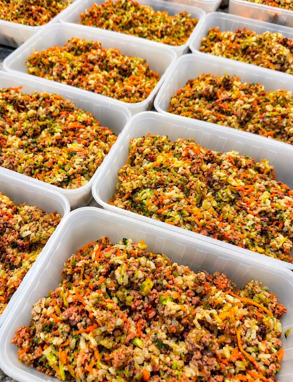 Overhead shot of dozens of takeaway tubs filled with finished Paw-a-licious meals