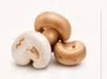 Mushrooms